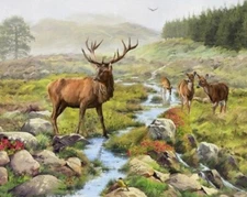 David Textiles - STAG Digital Quilting And Crafting Fabric Panel With Deers