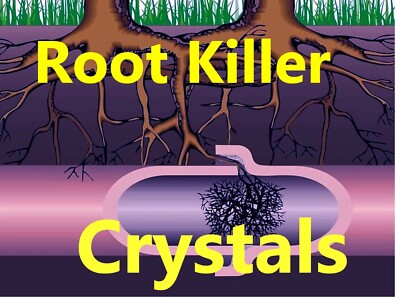 No Foam Root Eliminator Stop Tree Roots in Pipes & Sewer Lines No Copper Septic