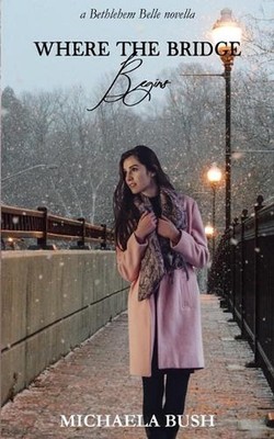 Where the Bridge Begins by Michaela Bush Paperback Book