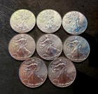 (8) 2013 Silver Eagles *Free Shipping*
