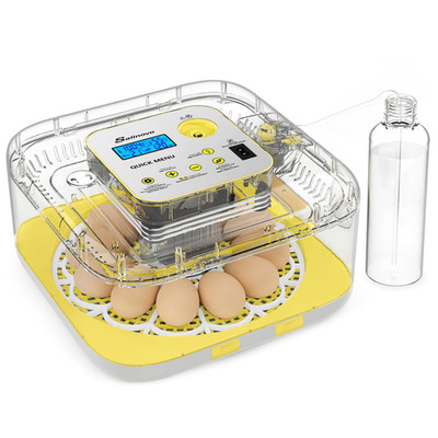 12-Egg Incubator with Auto Humidification & 360° Viewing for Hatching Eggs