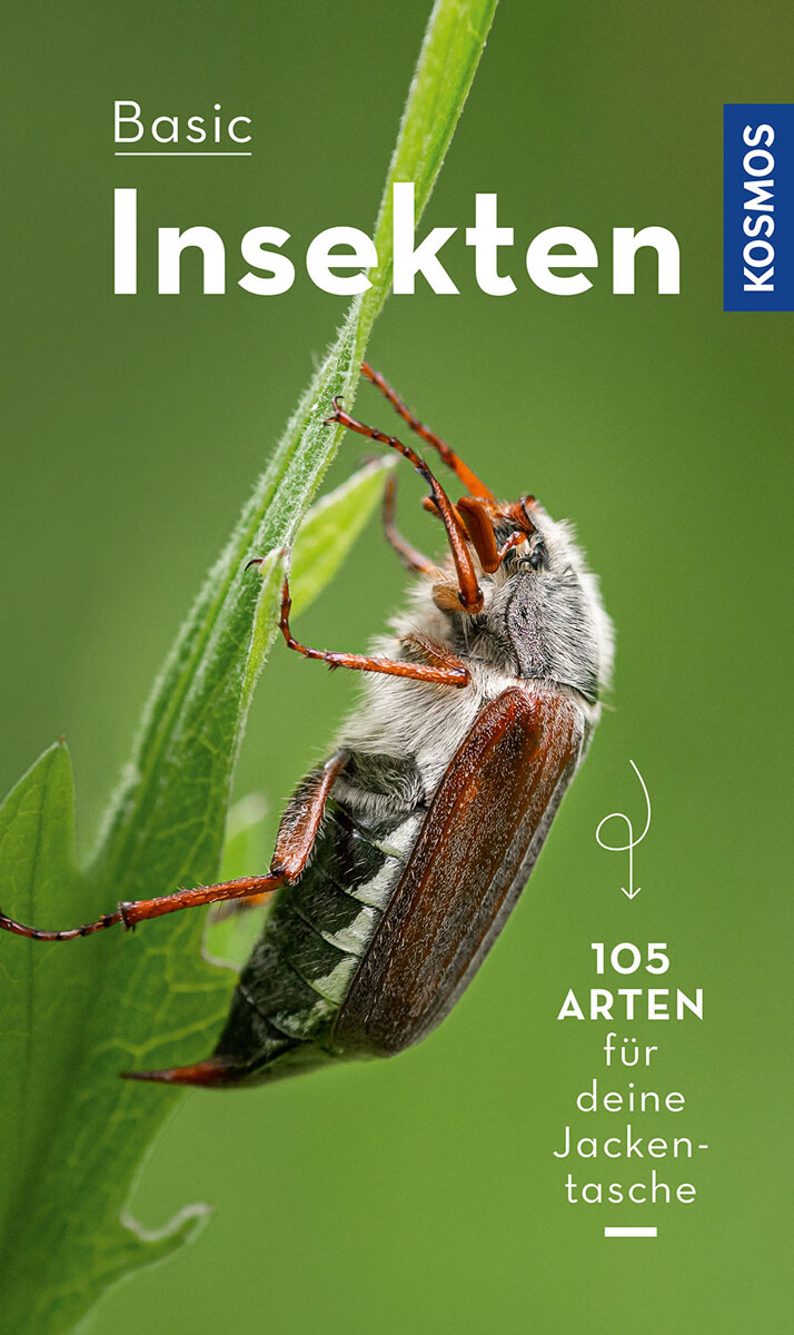 Basic Insekten. Roland Gerstmeier