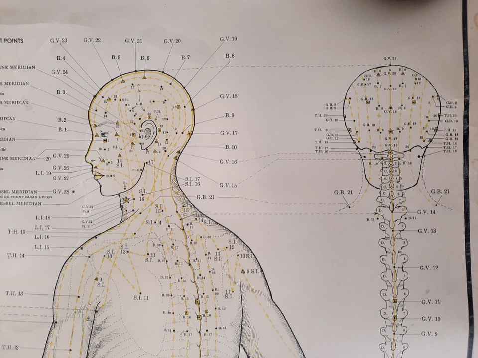 Vintage Acupuncture Meridian Points Poster 28.5" X 38" Rare Wall Chart