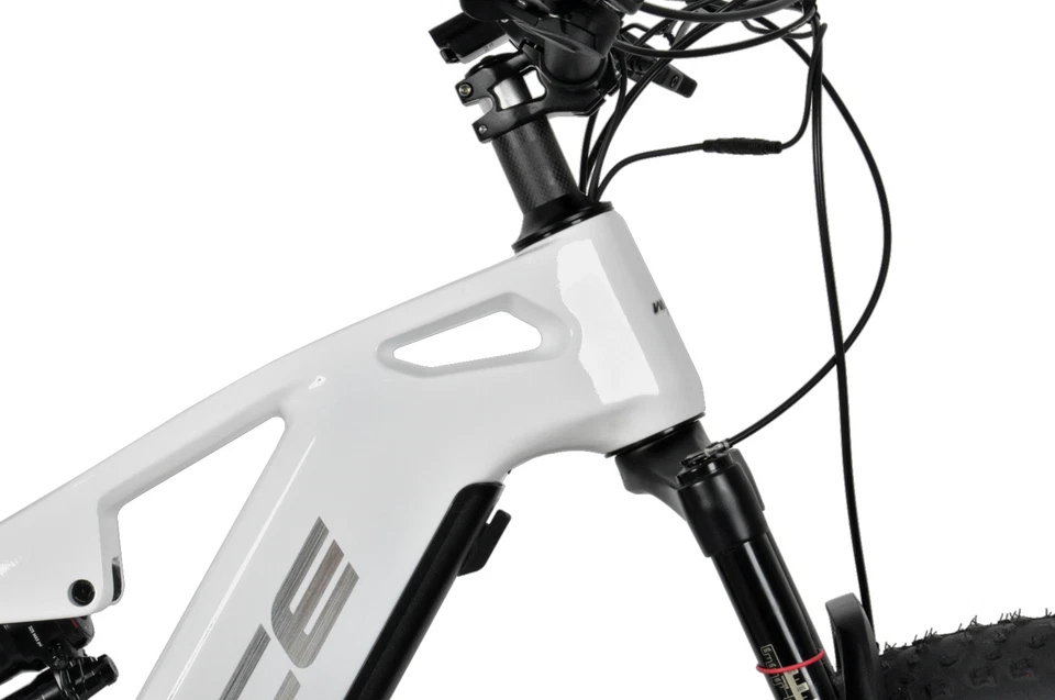 Bicicleta Eléctrica 19" Dengfu E56 Carbono Grasa Bicicleta Ebike M620 1040wh 10S Foto 4 de 4