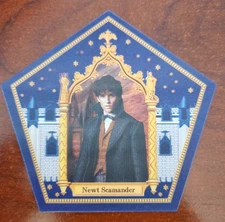 Harry Potter Chocolate Frog Cards Pentagonal Holographic Set Wizarding World