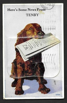 Vintage ausziehbare Postkarte HUND UND ZEITUNG ''Hier sind einige Neuigkeiten aus Bournemouth''