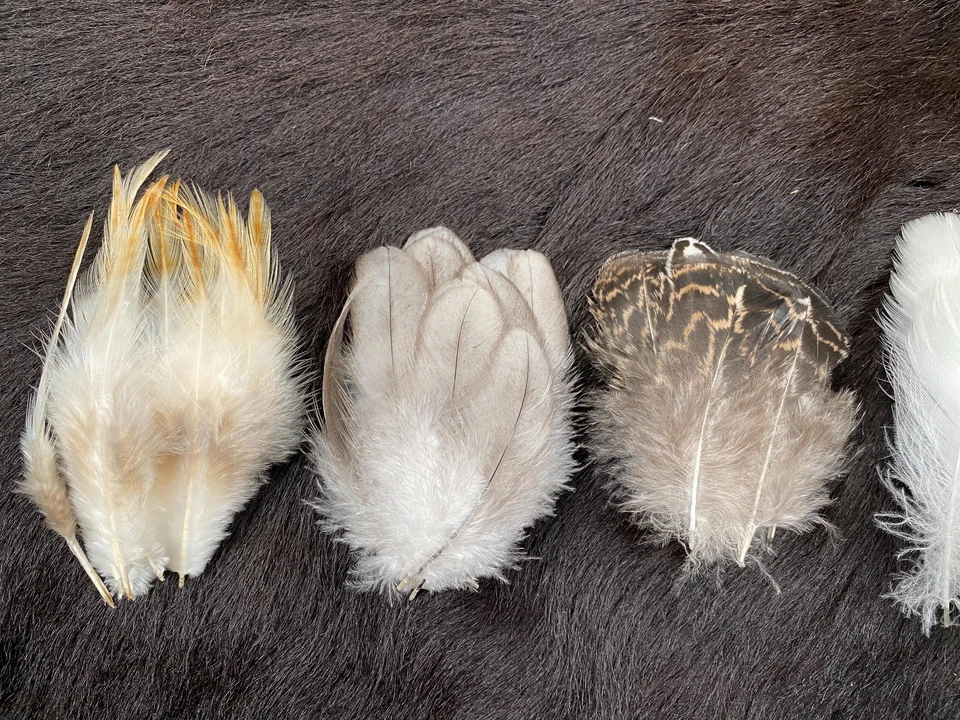 50er Federmix, 4-10cm, 5 Sorten, Hühnerfedern aus artgerechter Haltung, Naturfed - Bild 4 von 4