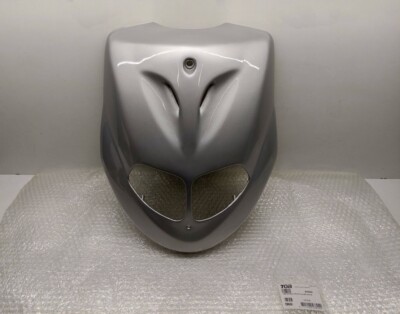 TGB Pegasus SKY 2 ORIGINAL Front NEU Verkleidung 401653SW front fairing (39)
