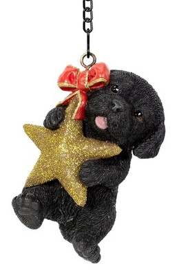 Vivid Arts hängender Mini Stern schwarz Labrador Welpe Hund Ornament - Indoor Outdoor
