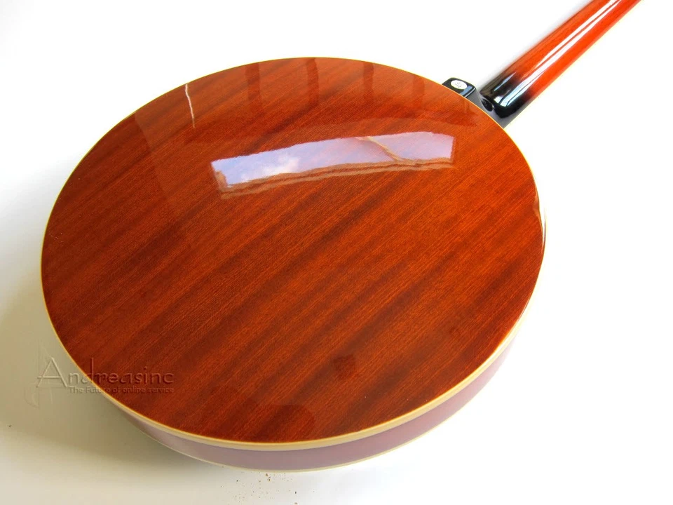 6-STRING BANJO GUITAR 30 BRACKET RESONATOR BLUEGRASS COUNTRY - Image 4 of 4