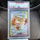 Eevee ex 224/187 SAR - PSA 10 - Terastal Fest Ex -Pokemon TCG