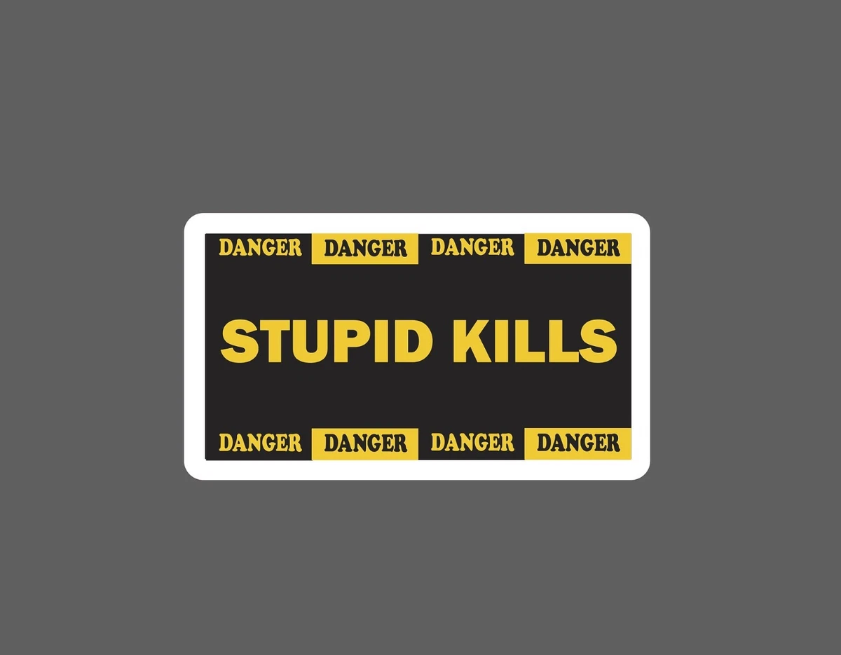 Danger You Are An Idiot Sign Warning Car Bumper Sticker Decal 6 x 4