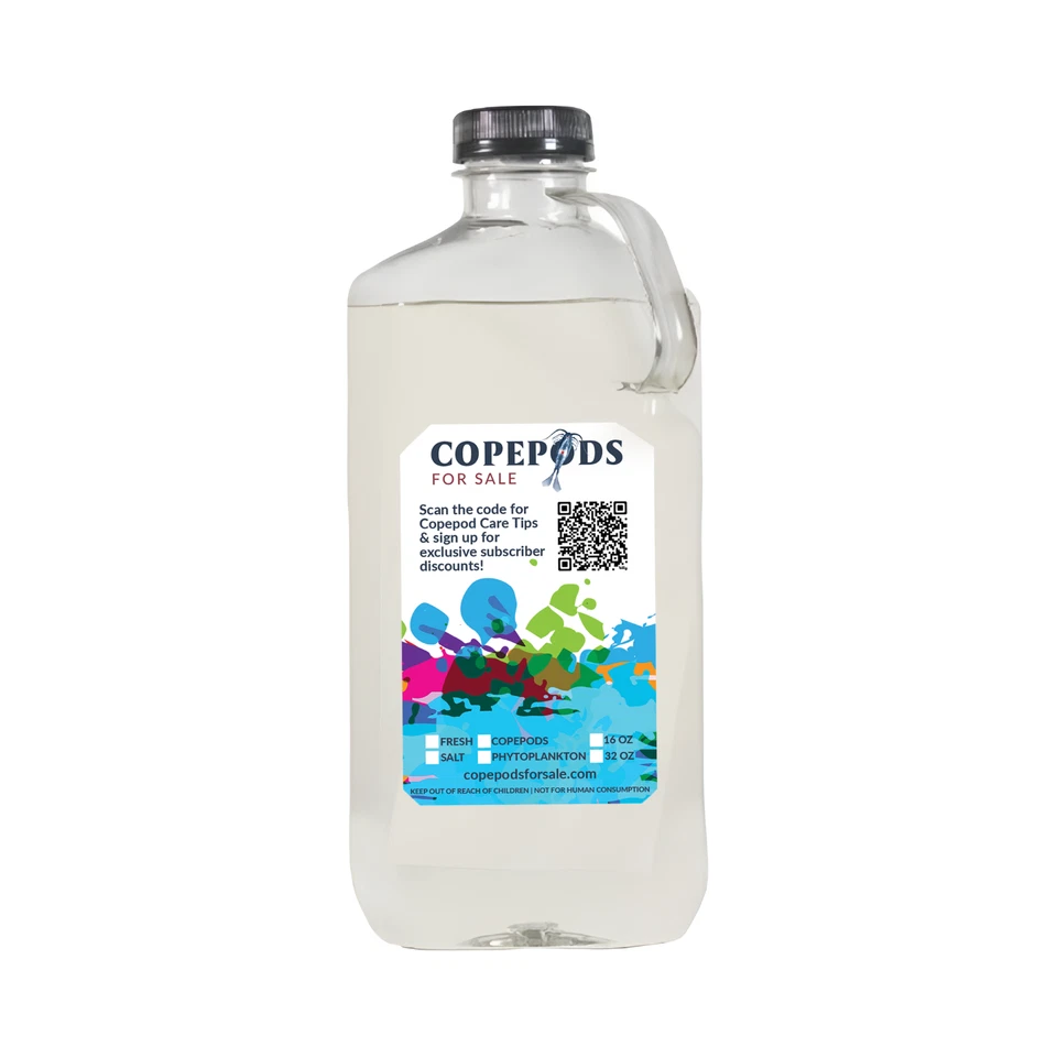 COPEPODS FOR SALE 32oz Tigrio Live Copepods (Tisbe/Tigriopus - Tig/Tigger) - FREE Fast Shipping!