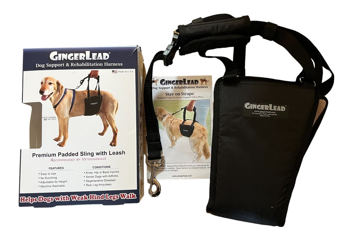 Gingerlead Dog Support Rehabilitation Harness With Stay on