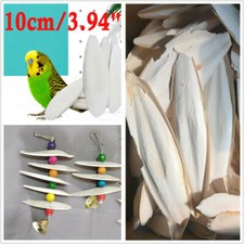 10cm 20Pcs Cuttlebone Cuttlefish Bone Sepia Cuttle Fish Bird Food Calcium