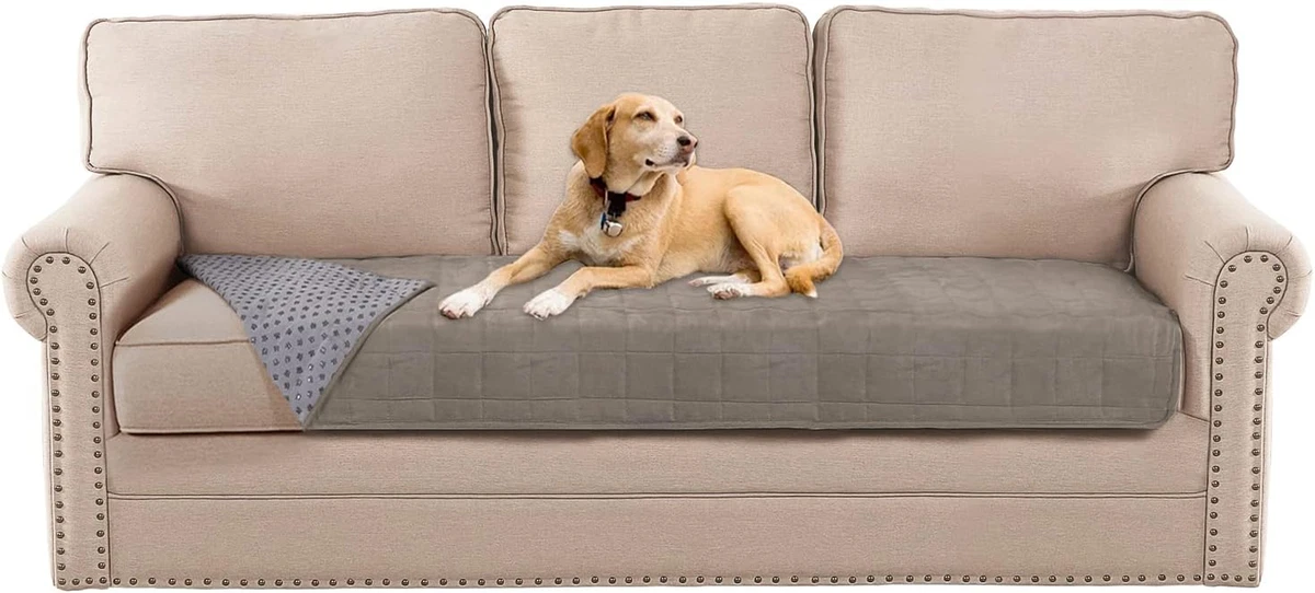 Dog sectional top