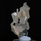Bild 8 von 8