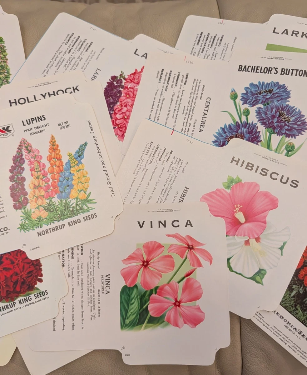 Vintage Seed Packets for sale | eBay