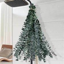 12 Pcs Dried Eucalyptus for Shower Hanging - 17'' Real Large Preserved Green 
