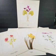 Case Hoyt "Painting With Light" Portfolio Printers 4 Colored Florals 14" x 11"