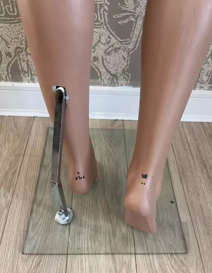 Mannequin Full Body x5 Realistic Female & Male eBay