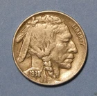 1938-D Buffalo Nickel HIGHER GRADE! LOTS OF HORN VISIBLE!