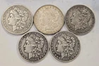 5 Morgan Silver Dollars - 5 Coin Lot - SKu19
