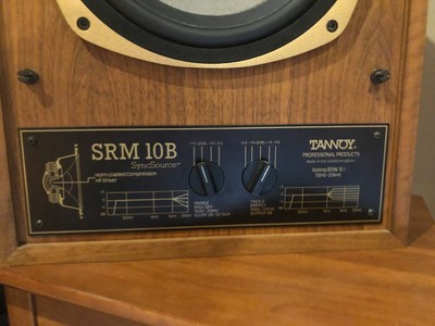 tannoy srm10b