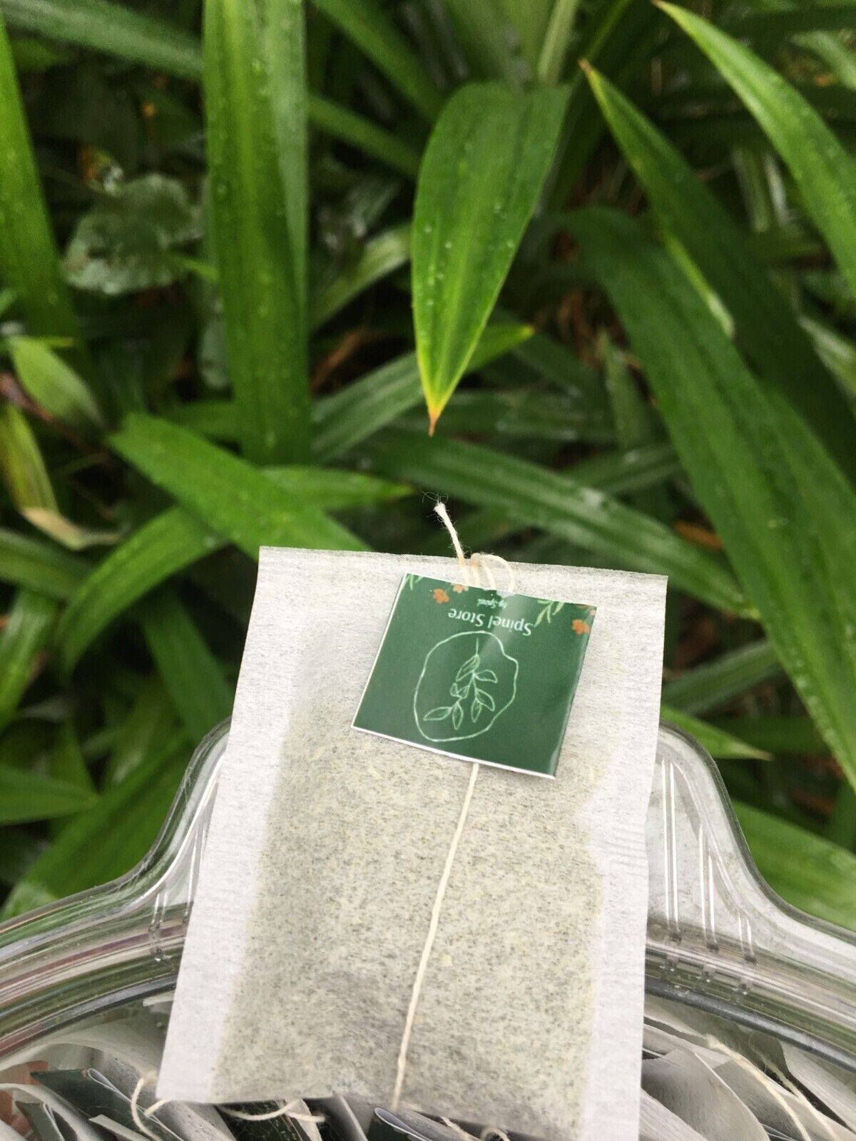 ORGANIC Soursop Graviola Tea Bags Guanabana Guyabano Annona Muricata