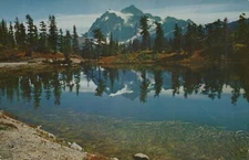 Highwood Lake Mount Baker National Park Posted Vintage Chrome Post Card