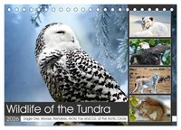 Claudia Kleemann | Wildlife Of The Tundra (Desk Calendar 2026 Din A5...