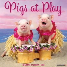Pigs at Play 2026 12" x 12" Wall Calendar (free shipping)