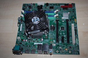 Mainboard Lenovo ThinkServer TS140 Tower LGA1150 (z.B. 4551-520450-30) + Kühlung
