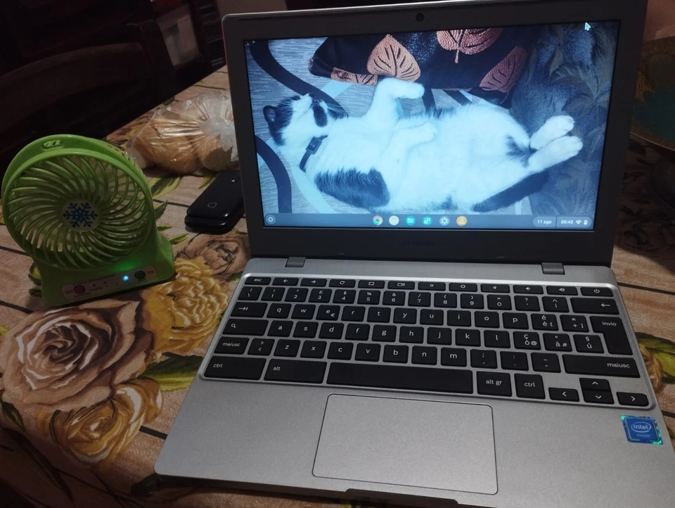 Samsung Chromebook 4 11,6" (Intel Celeron N4000, 4GB RAM, 64GB eMMC) Notebook - - Immagine 2 di 2