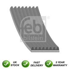 V-Ribbed Drive Belt SJR Fits BMW 1 Series 4 2 6 5 3 7 X5 X3 X4 X6 3.0 3.4