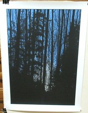 DAN MC CARTHY "UNA NOCHE EN EL BOSQUE" EDICIÓN LIMITADA SERIGRAFÍA FIRMADA