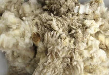 Sheep Wool Natural Lure Scent Holder Trapping Supplies