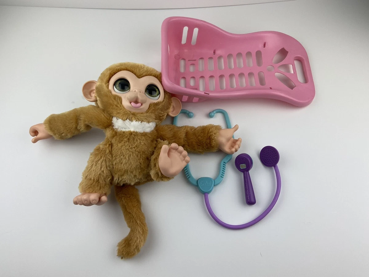 Furreal check up zandi sales