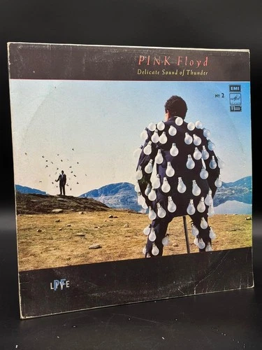 Pink Floyd Delicate Sound of Thunder Vinyl Record