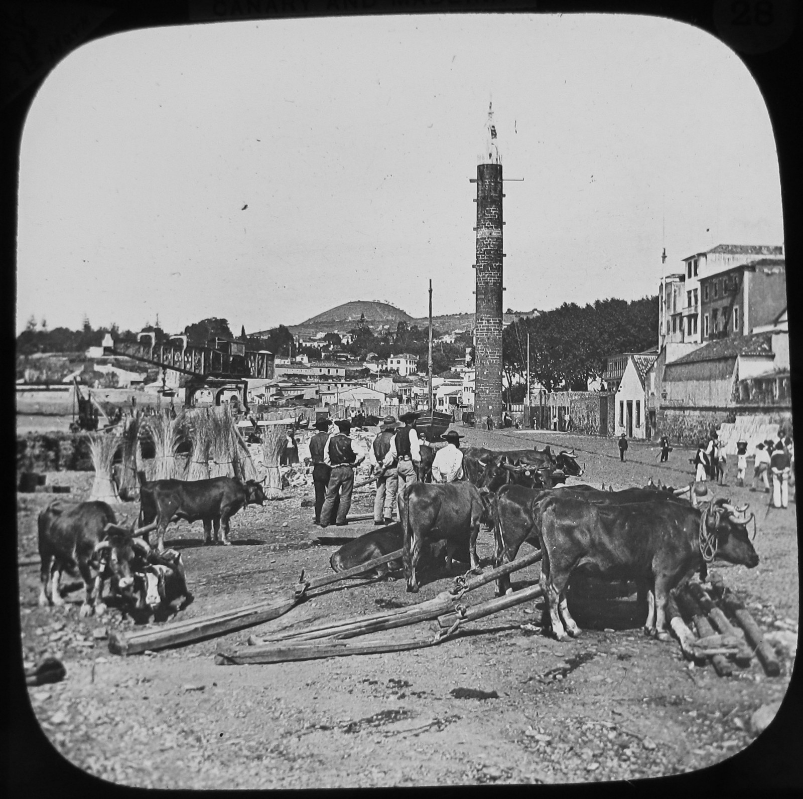 Glass Magic Lantern Slide BEACH & SIGNAL TOWER C1890 OLD PHOTO MADEIRA