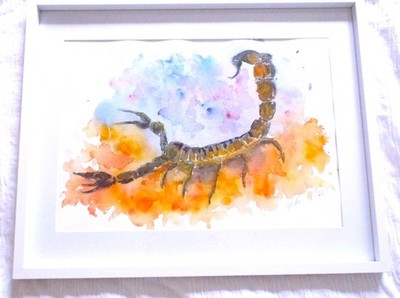 Skorpion Original Aquarell gerahmtes Gemälde Skorpion Sternzeichen Andi J Lucas
