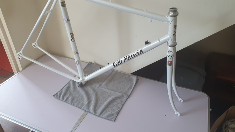 Very Rare Eddy Merckx Professional Aerodynamic Frameset, Ex Europ Decor 54cm