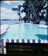Esther Williams Florida Pool map of FL - 1950s Stereo Realist 3D Slide #1591