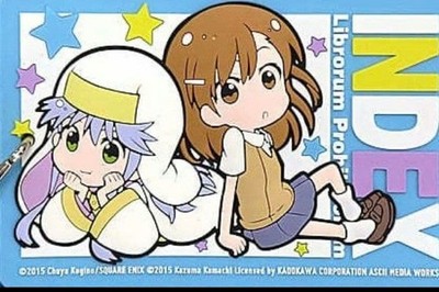 A Certain Magical Index AniMate Limited Rubber Pass Case