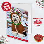 Tibetan Terrier Dog Greeting Cards and Note Cards with Envelopes Christmas Nwt