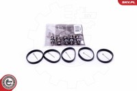 Esen SKV Reparatursatz Saugrohrmodul FüR Mercedes M-Klasse E-Klasse W163 W211
