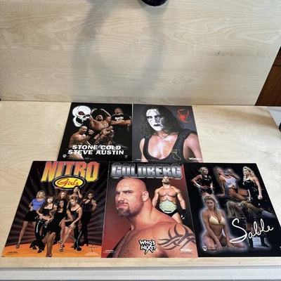 Многоцветная одежда и сувениры WWE Wrestling для фанатов Sting