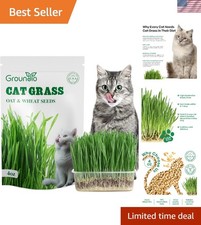 Grow Healthy Cat Grass Indoor & Outdoor - Non-GMO Seeds