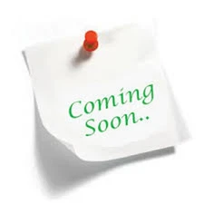 Shiseido Revitalessence Skin Glow SPF30 Foundation 540 MAHOGANY - No Box