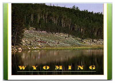 Vintage 1990s Big Sandy Openings - Wind River Range, Wyoming Postcard (UnPosted)